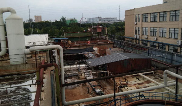 绍兴某毛绒家纺有限公司